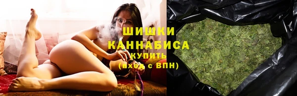 гидра Майский