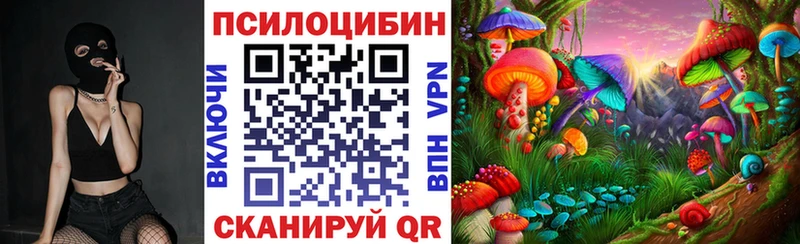 наркотики  Липецк  MEGA зеркало  Галлюциногенные грибы Magic Shrooms 